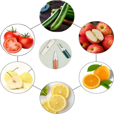 Stainless Steel 2 in 1 Fruit cutting Knife with Peeler For Peeling and Cutting